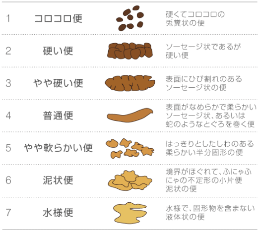 ブリストルスケール図